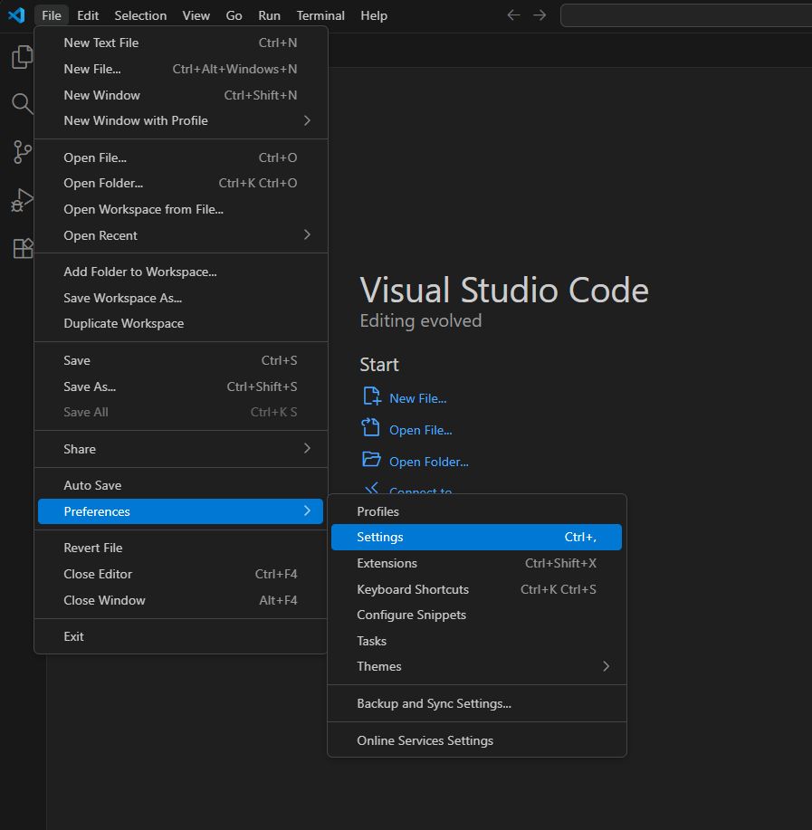 VS Code Preferences