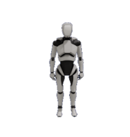 Humanoid Bones